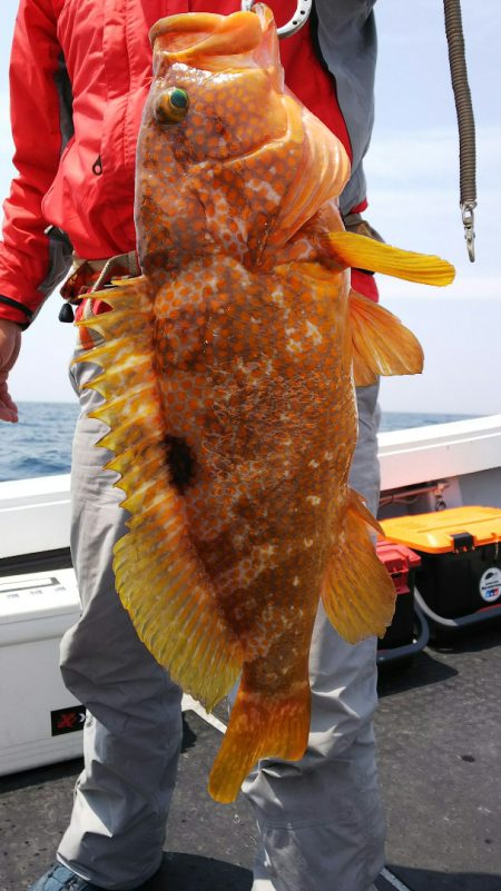 第二龍勢丸 釣果