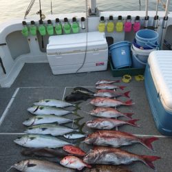 ARCADIAⅡ (アルカディアⅡ) 釣果