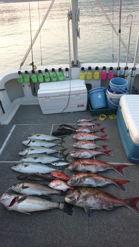 ARCADIAⅡ (アルカディアⅡ) 釣果