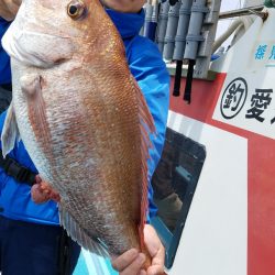 みやけ丸 釣果