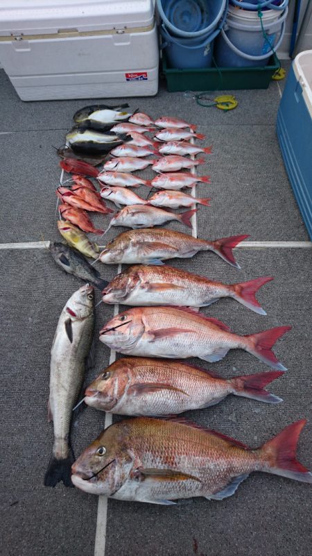 ARCADIAⅡ (アルカディアⅡ) 釣果