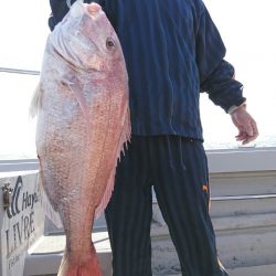 ブルースフィッシングサービス 釣果