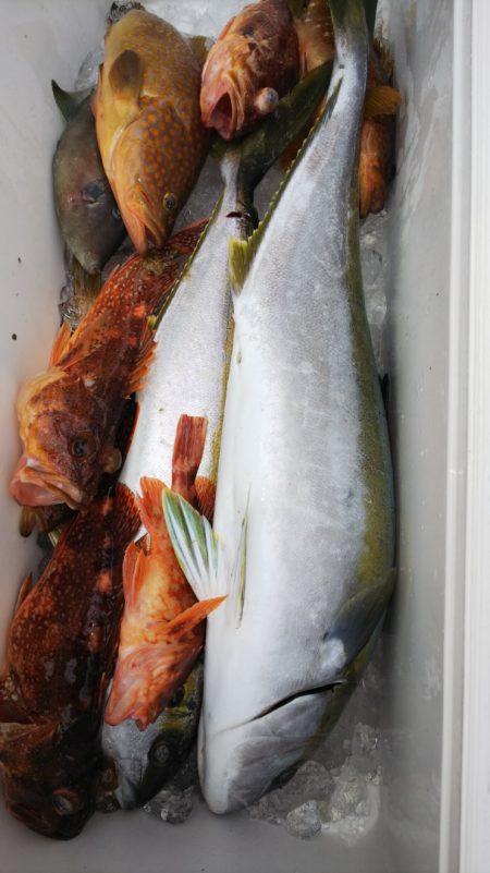 第二龍勢丸 釣果