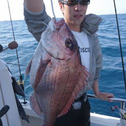 ARCADIAⅡ (アルカディアⅡ) 釣果