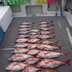 ARCADIAⅡ (アルカディアⅡ) 釣果