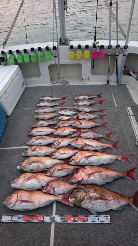 ARCADIAⅡ (アルカディアⅡ) 釣果