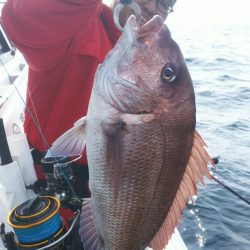 ブルドック 釣果