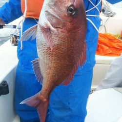 ブルドック 釣果