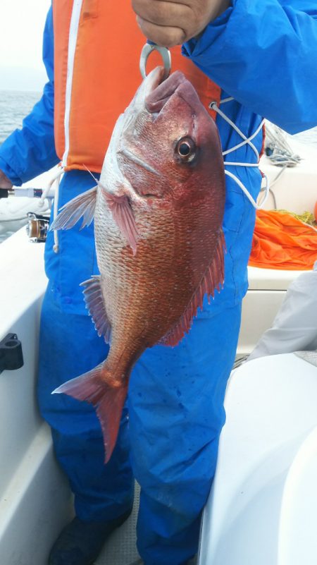 ブルドック 釣果