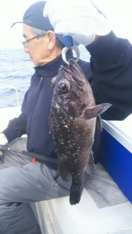 ブルドック 釣果