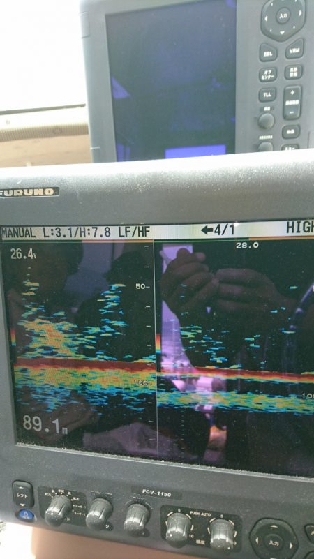 ARCADIAⅡ (アルカディアⅡ) 釣果