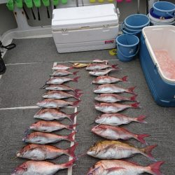 ARCADIAⅡ (アルカディアⅡ) 釣果