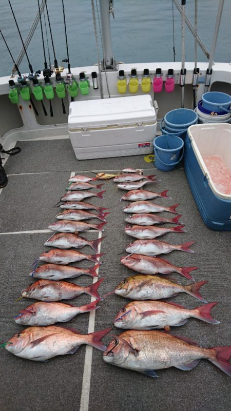 ARCADIAⅡ (アルカディアⅡ) 釣果