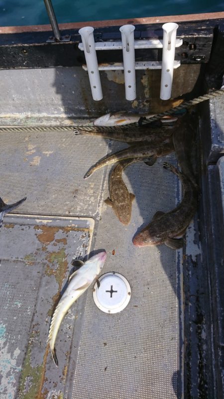 FISHING RISKY 釣果