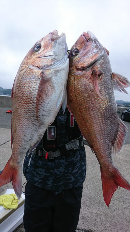 第三共栄丸 釣果