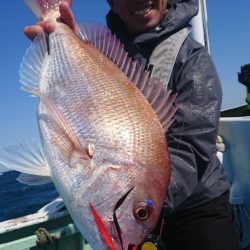 だて丸 釣果