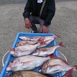 第三共栄丸 釣果