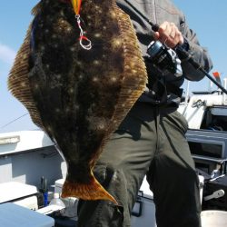 第二龍勢丸 釣果