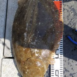 第二龍勢丸 釣果