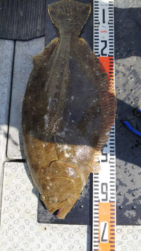 第二龍勢丸 釣果