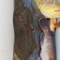 第二龍勢丸 釣果