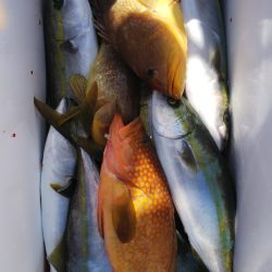 第二龍勢丸 釣果