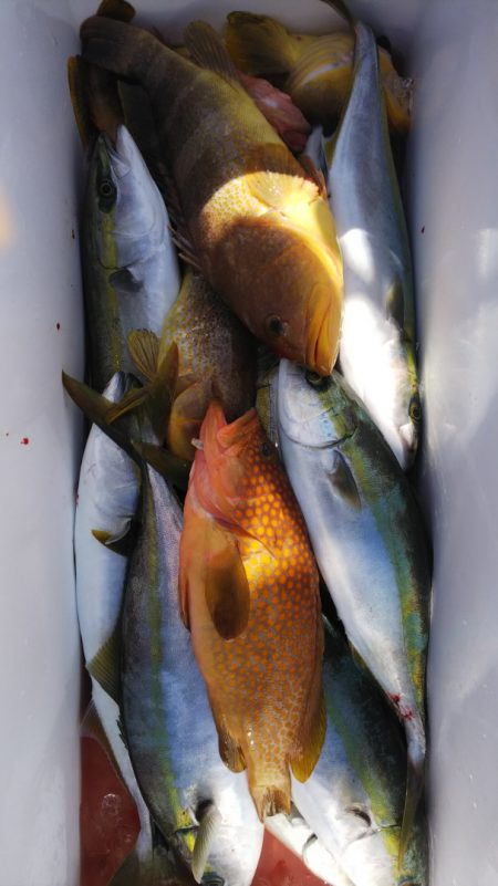 第二龍勢丸 釣果