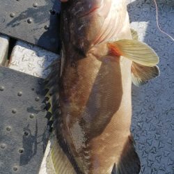 第二龍勢丸 釣果