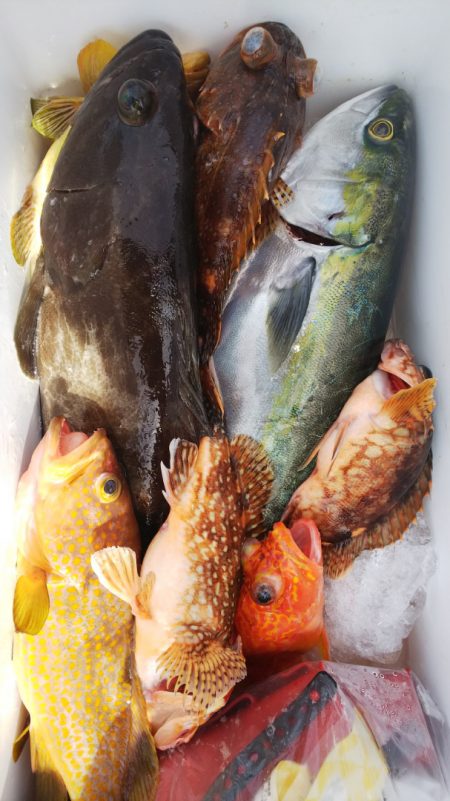 第二龍勢丸 釣果