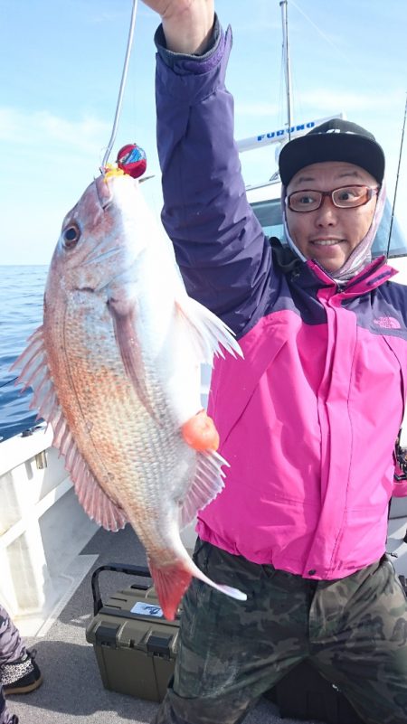 ARCADIAⅡ (アルカディアⅡ) 釣果