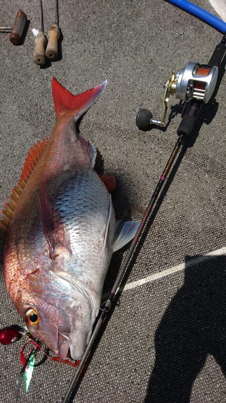 ARCADIAⅡ (アルカディアⅡ) 釣果