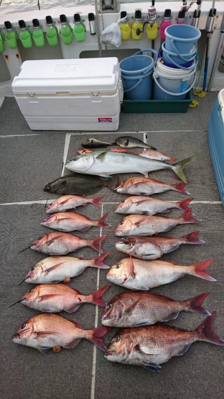 ARCADIAⅡ (アルカディアⅡ) 釣果