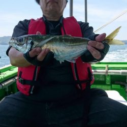 小島丸 釣果