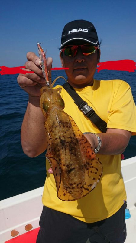 きずなまりん 釣果