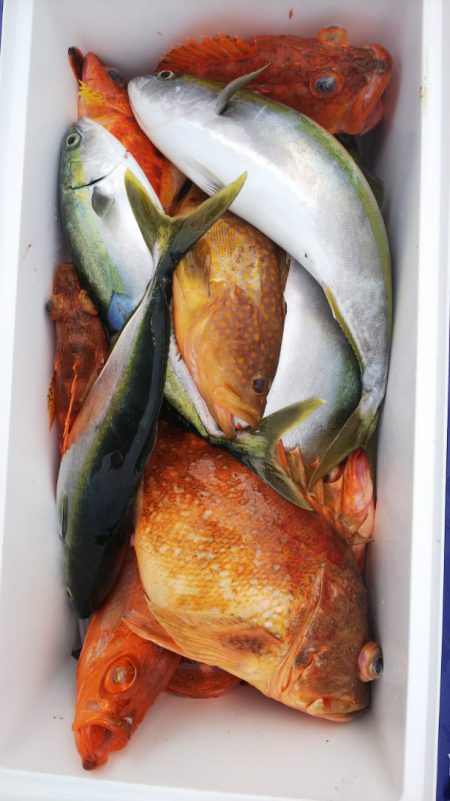 第二龍勢丸 釣果