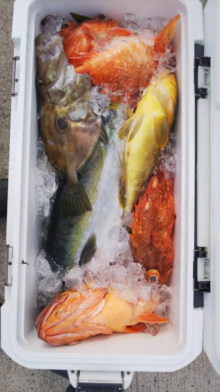 第二龍勢丸 釣果