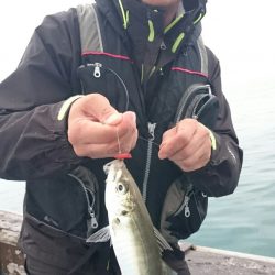 海龍丸（石川） 釣果