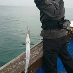 海龍丸（石川） 釣果