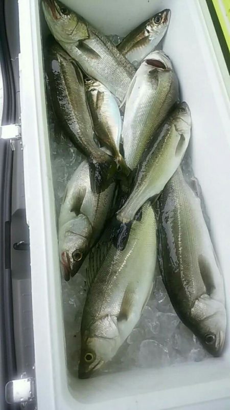 海龍丸（石川） 釣果