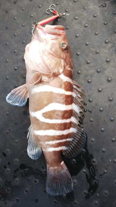 第二龍勢丸 釣果