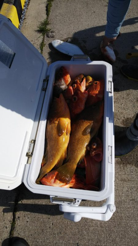 第二龍勢丸 釣果