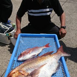 第三共栄丸 釣果