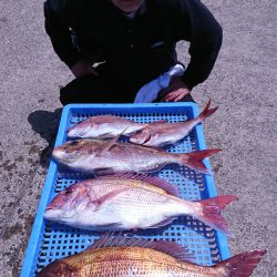 第三共栄丸 釣果