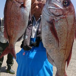 第三共栄丸 釣果
