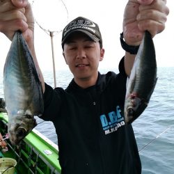 小島丸 釣果