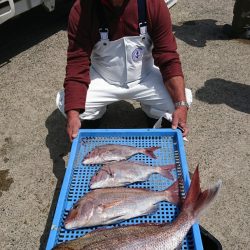 第三共栄丸 釣果