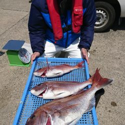 第三共栄丸 釣果