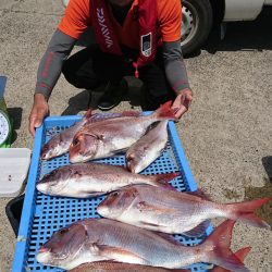 第三共栄丸 釣果