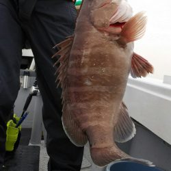 第二龍勢丸 釣果