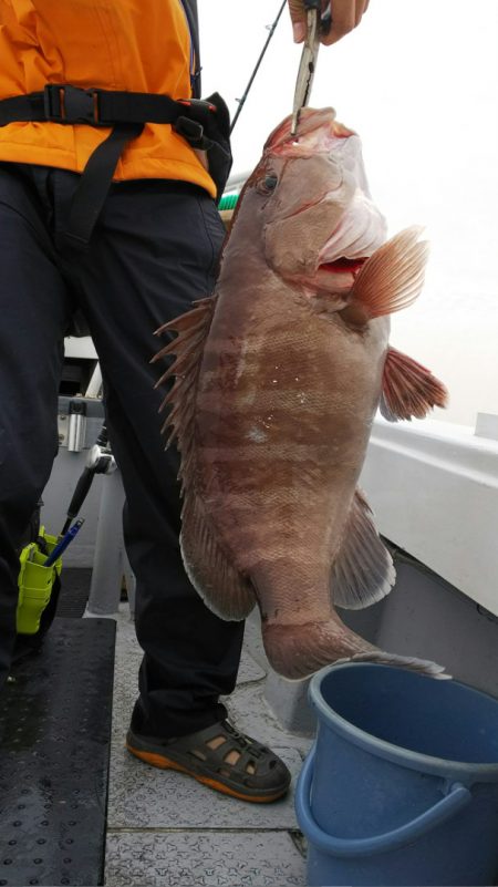 第二龍勢丸 釣果